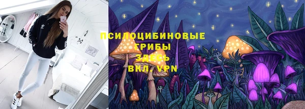 прущие грибы Алзамай